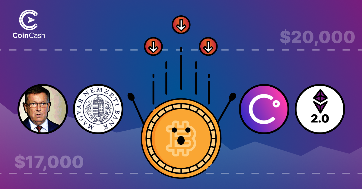 Bitcoin Hodler hírösszefoglaló - 36. hét